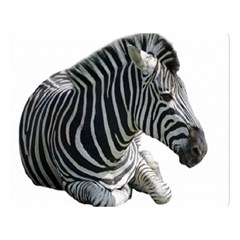 Zebra Double Sided Flano Blanket (Large) from ArtsNow.com 80 x60  Blanket Front