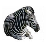 Zebra Double Sided Flano Blanket (Large)