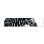 Zebra Flano Scarf (Small)