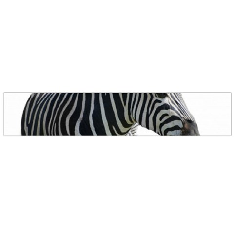 Zebra Flano Scarf (Large) from ArtsNow.com Front