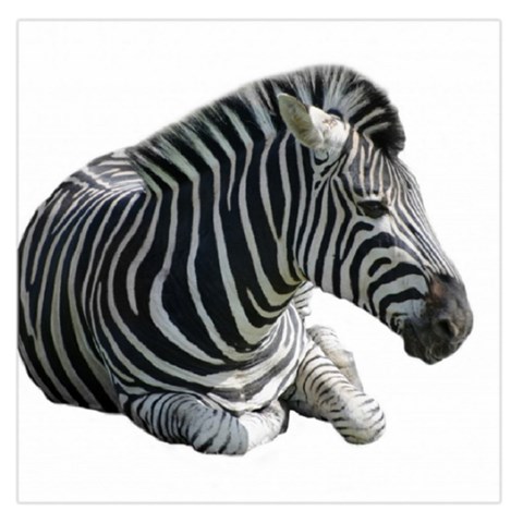 Zebra Large Satin Scarf (Square) from ArtsNow.com Front