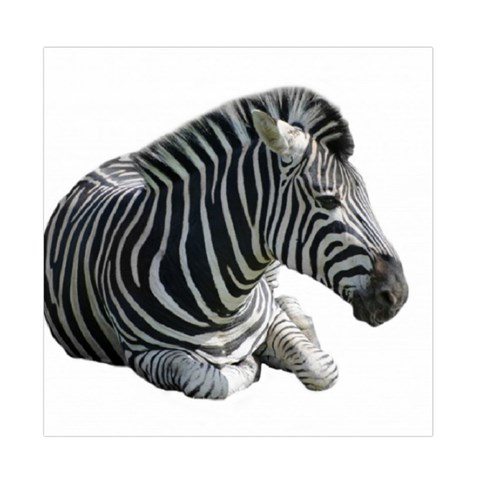 Zebra Duvet Cover (Full/ Double Size) from ArtsNow.com Front