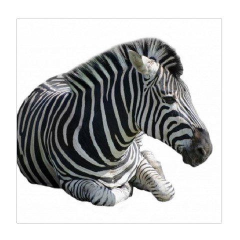 Zebra Duvet Cover (Queen Size) from ArtsNow.com Front