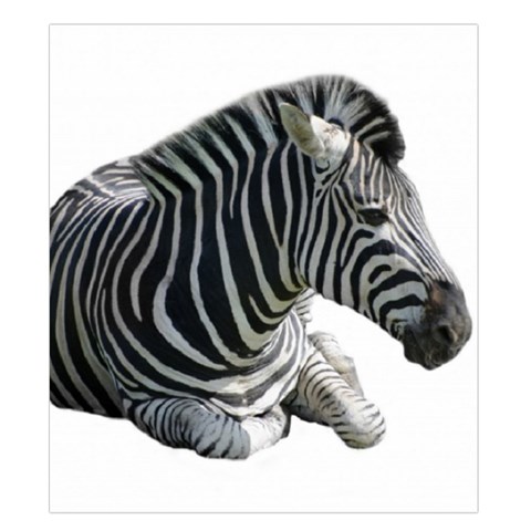 Zebra Duvet Cover Double Side (King Size) from ArtsNow.com Back