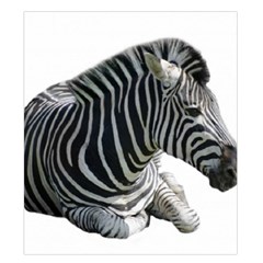 Zebra Duvet Cover Double Side (King Size) from ArtsNow.com Back