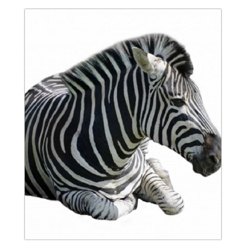 Zebra Duvet Cover Double Side (California King Size) from ArtsNow.com Front