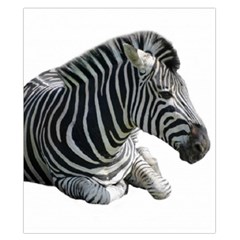 Zebra Duvet Cover Double Side (California King Size) from ArtsNow.com Front