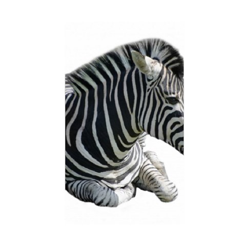 Zebra Duvet Cover (Single Size) from ArtsNow.com Duvet Quilt