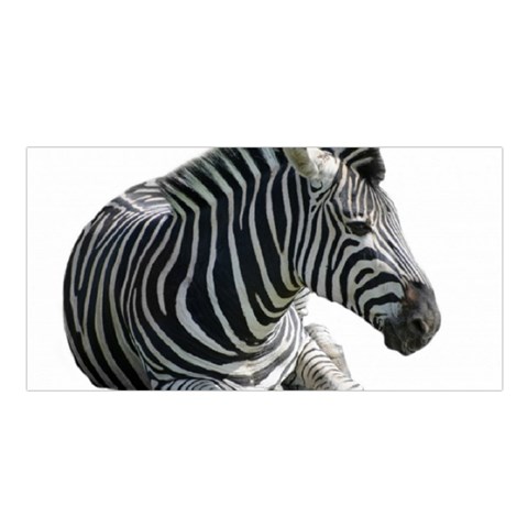Zebra Satin Shawl from ArtsNow.com Front