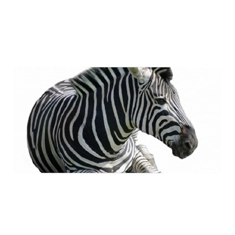 Zebra Satin Wrap from ArtsNow.com Front