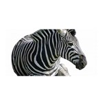 Zebra Satin Wrap