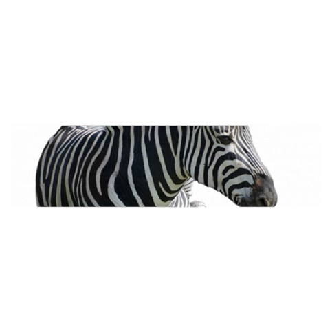 Zebra Satin Scarf (Oblong) from ArtsNow.com Front