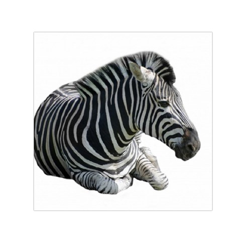 Zebra Small Satin Scarf (Square) from ArtsNow.com Front