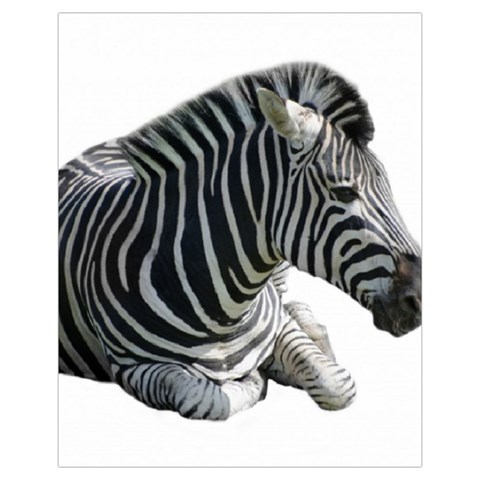 Zebra Drawstring Pouch (XL) from ArtsNow.com Front