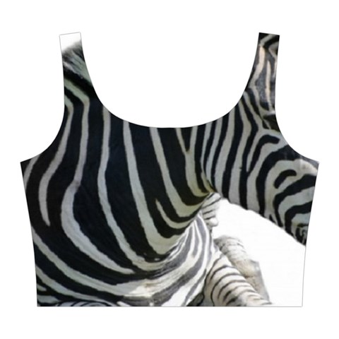 Zebra Midi Sleeveless Dress from ArtsNow.com Top Front