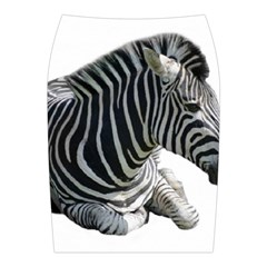 Zebra Midi Wrap Pencil Skirt from ArtsNow.com Back