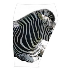Zebra Midi Wrap Pencil Skirt from ArtsNow.com  Front Right 