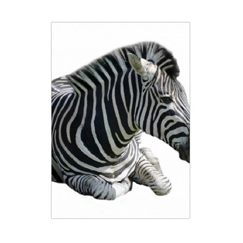 Zebra Small Tapestry from ArtsNow.com Front