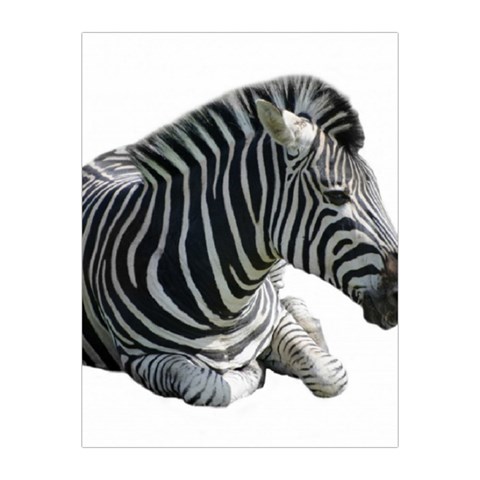 Zebra Medium Tapestry from ArtsNow.com Front