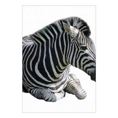Zebra Large Tapestry from ArtsNow.com Front