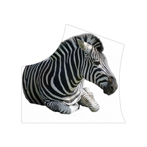 Zebra Women s Button Up Puffer Vest from ArtsNow.com Top Left