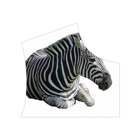 Zebra Women s Button Up Puffer Vest from ArtsNow.com Top Right