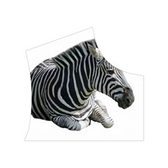 Zebra Women s Button Up Puffer Vest from ArtsNow.com Top Right