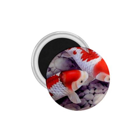 Koi 1.75  Magnet from ArtsNow.com Front