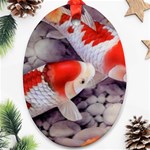 Koi Ornament (Oval)