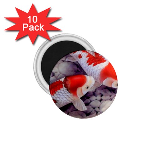 Koi 1.75  Magnet (10 pack)  from ArtsNow.com Front