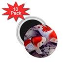 Koi 1.75  Magnet (10 pack) 