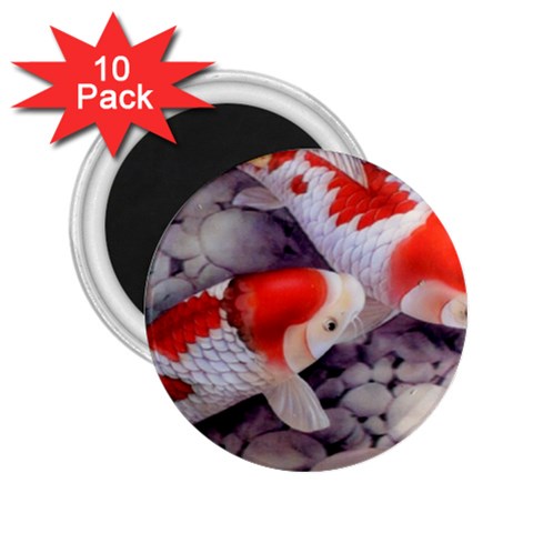 Koi 2.25  Magnet (10 pack) from ArtsNow.com Front