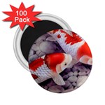 Koi 2.25  Magnet (100 pack) 