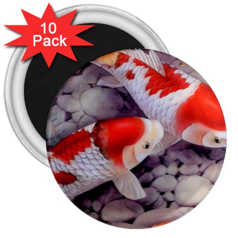 Koi 3  Magnet (10 pack) from ArtsNow.com Front
