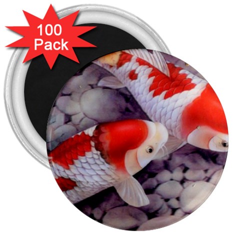 Koi 3  Magnet (100 pack) from ArtsNow.com Front