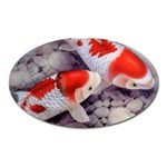 Koi Magnet (Oval)