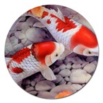 Koi Magnet 5  (Round)