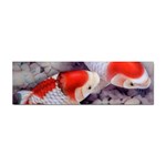 Koi Sticker Bumper (100 pack)
