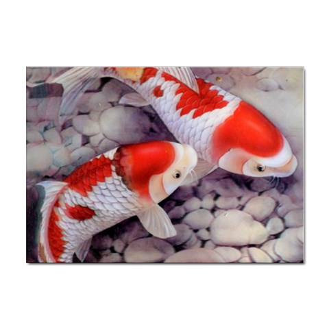 Koi Sticker A4 (100 pack) from ArtsNow.com Front