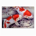 Koi Postcard 5  x 7 