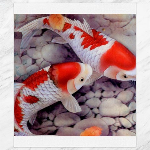 Koi Canvas 8  x 10  from ArtsNow.com 8.15 x9.66  Canvas - 1