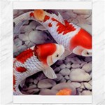 Koi Canvas 12  x 16 
