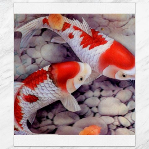Koi Canvas 20  x 24  from ArtsNow.com 19.57 x23.15  Canvas - 1