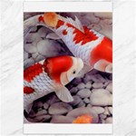 Koi Canvas 24  x 36 