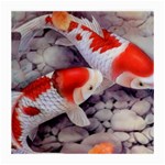 Koi Medium Glasses Cloth