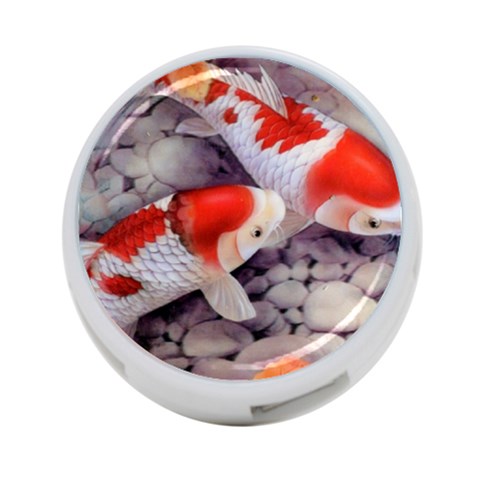 Koi 4 Front