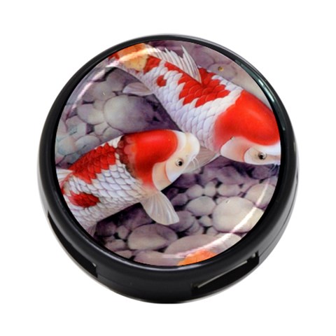 Koi 4 Front