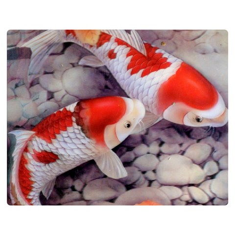 Koi Double Sided Flano Blanket (Medium) from ArtsNow.com 60 x50  Blanket Front