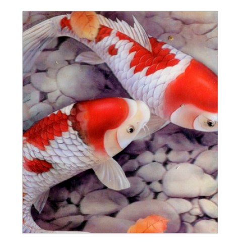 Koi Duvet Cover Double Side (King Size) from ArtsNow.com Front