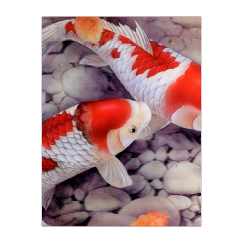 Koi Medium Tapestry from ArtsNow.com Front